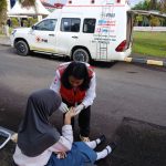 Medis (4)