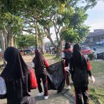 PMR (1)