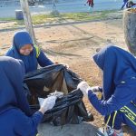PMR (8)