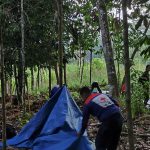 PMR OK (6)