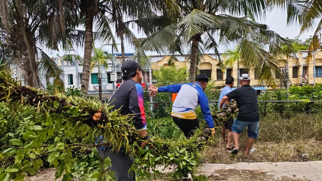 POHON TUMBANG  DI JL. BAHARI,  PERSONEL PMI NUNUKAN  BERGOTONG ROYONG