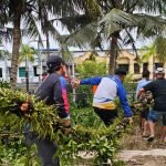 POHON TUMBANG  DI JL. BAHARI,  PERSONEL PMI NUNUKAN  BERGOTONG ROYONG