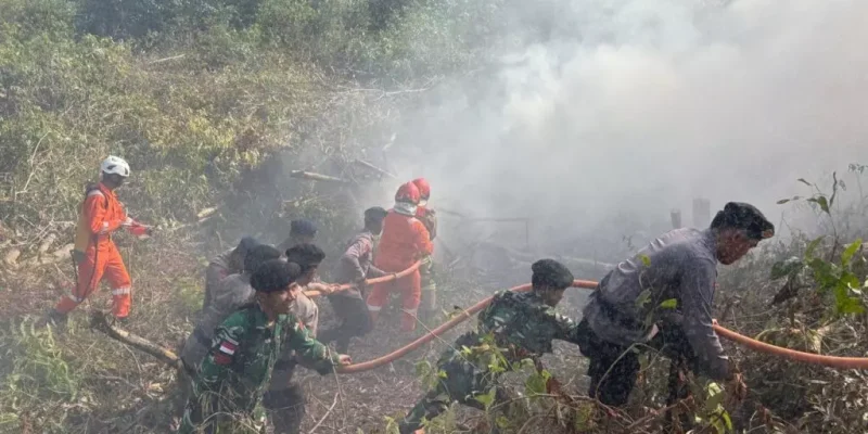 Gambar 23 1 1024x768.jpeg